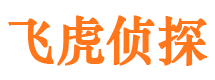 马龙侦探公司